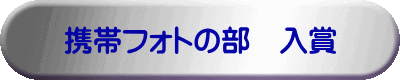 携帯フォトの部 入賞