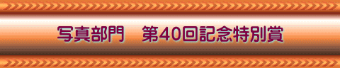 写真部門 第40回記念特別賞