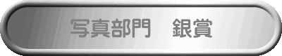 �ʐ^����@��� 
