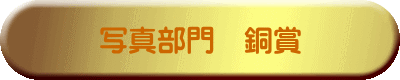 �ʐ^����@���� 
